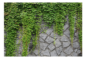 Fotobehang - Green wall