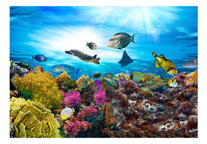 Fotobehang - Coral reef