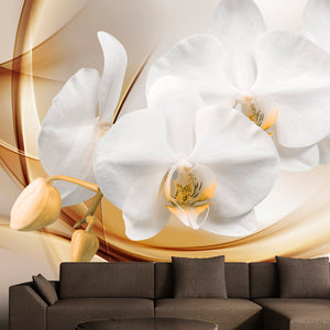 Fotobehang - Orchid blossom