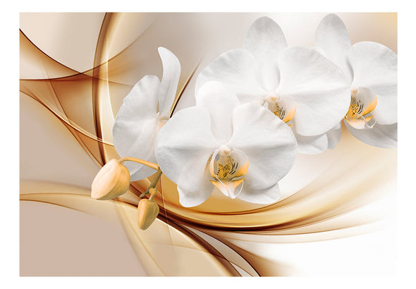 Fotobehang - Orchid blossom