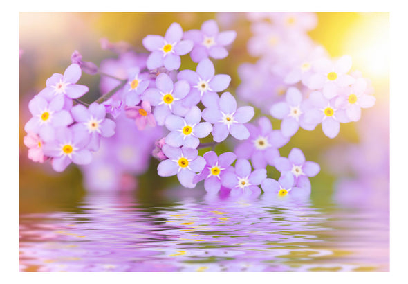 Fotobehang - Violet Petals In Bloom