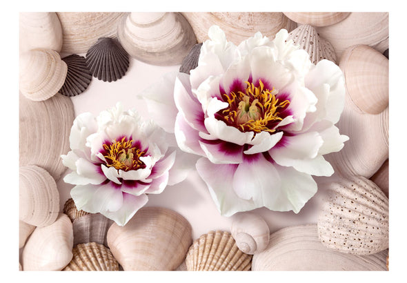 Fotobehang - Flowers and Shells