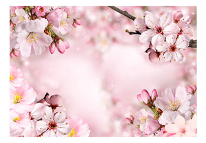 Fotobehang - Spring Cherry Blossom