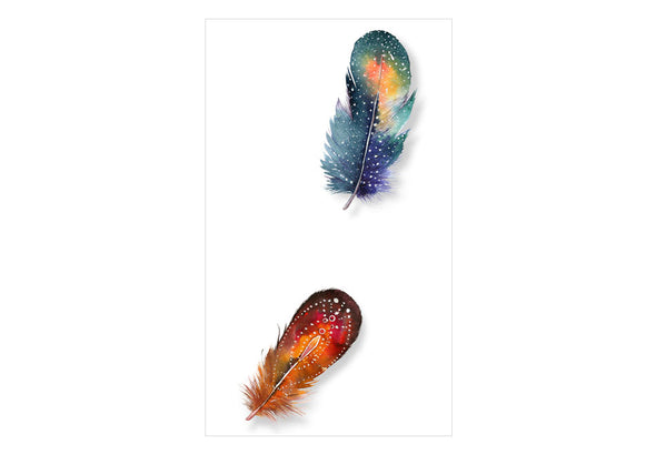Fotobehang - Colorful Feathers