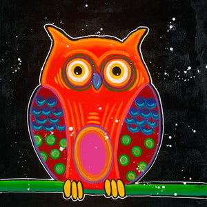 Aluminium schilderij Funny Owl II