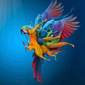 Plexiglas schilderij Flying Colours