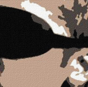 Popart schilderij Brad Pitt