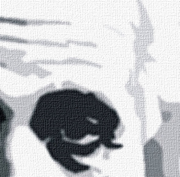 Popart schilderij Albert Einstein