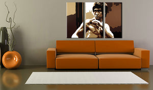 Popart schilderij AL Bruce Lee 3 delig