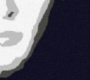 Popart schilderij The Vervet
